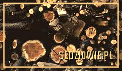 Sądy polubowne, Prawo karne i cywilne, orzecznictwo sadowe, rozstrzygnięcia , hałas dom weselny porady, Tyniec , Bielany, Ojców, Szlak Orlich gniazd, dom weselny, Kraków i Okolice, Małopolska podróże turystyka, Wypoczynek hotele Kraków, Tradycje i zwyczaje w Małopolsce i podkarpaciu, Góralskie chaty i obrzędy, góry na narty