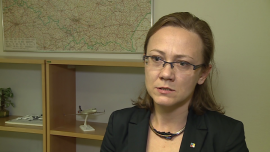 Skandynawskie inwestycje bezpośrednie w Polsce to ponad 43,7 mld zł. To jeden z pięciu największych inwestorów w naszym kraju