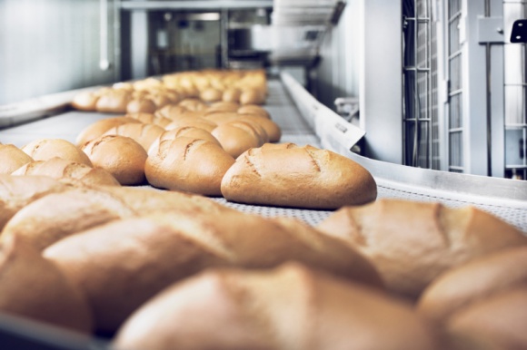 Nowel z nową linią produkcyjną